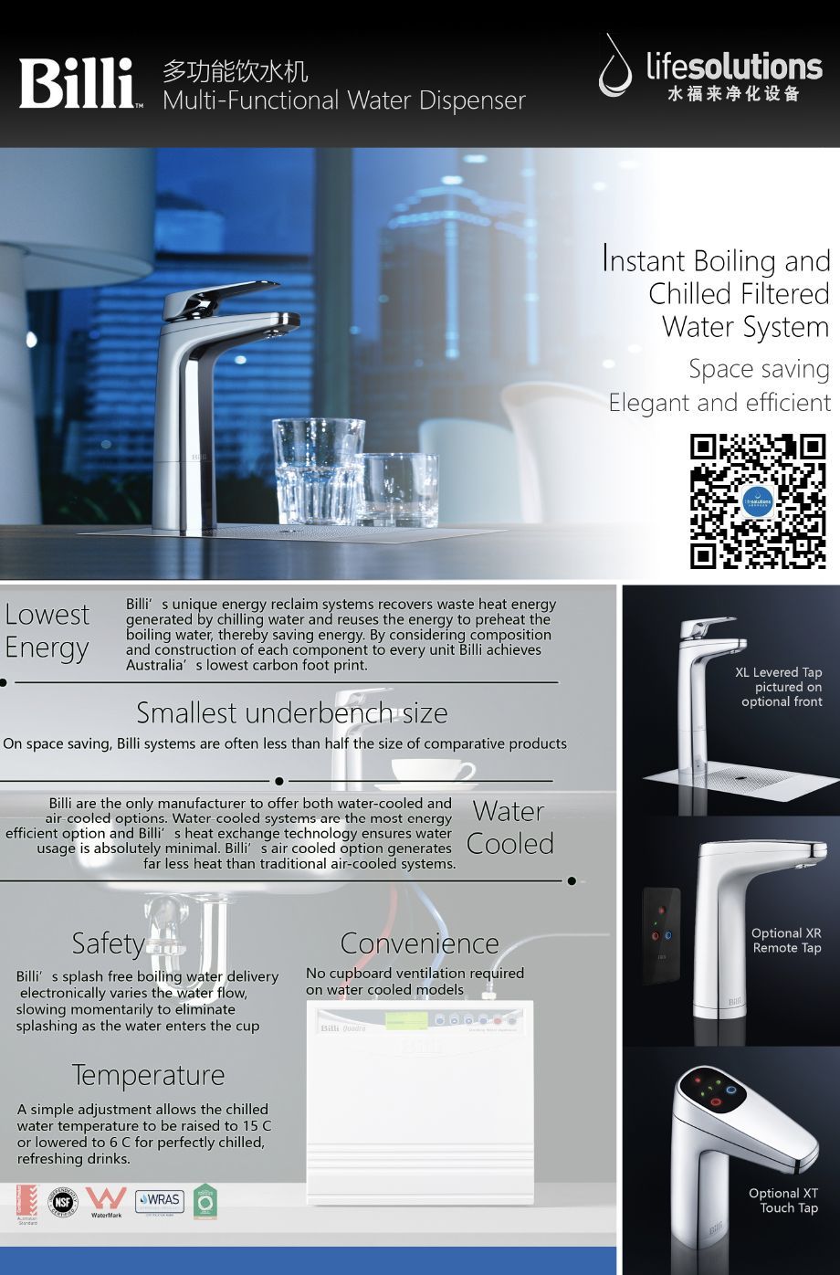 billiflyer1 billiflyer1